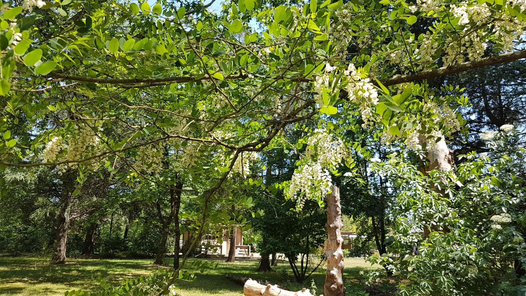 Le Clos Des Ecureuils Vouzon Экстерьер фото